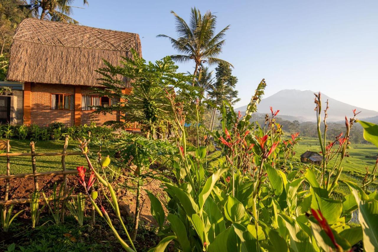 Romantic Barn With Mt. Agung Views Sidemen  Exterior photo
